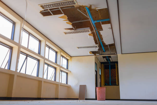 Best Ceiling water damage repair  in West Bay Shore, NY