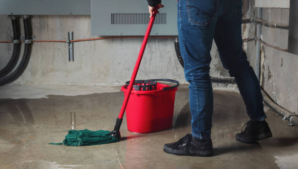Best Water damage repair service  in West Bay Shore, NY