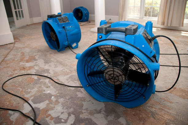 Best Basement water damage restoration  in West Bay Shore, NY