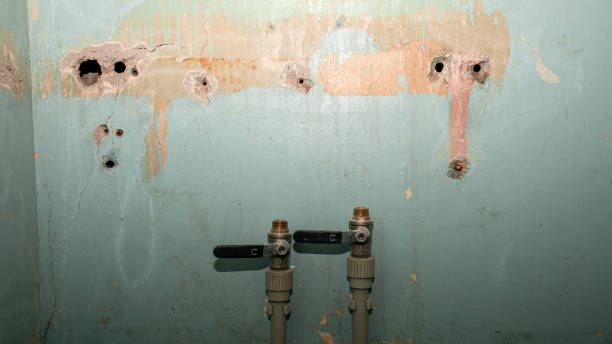 Best Water damage restoration near me  in West Bay Shore, NY