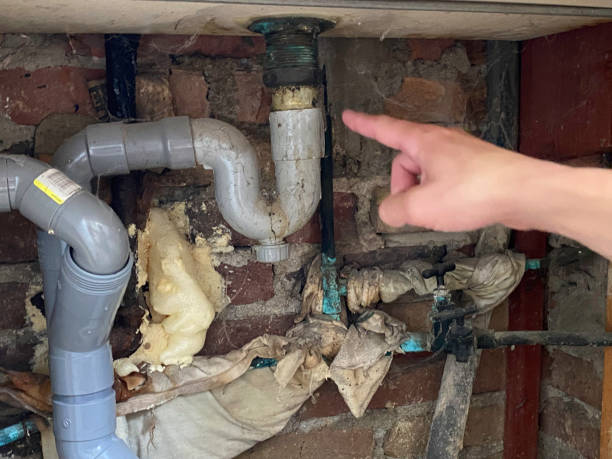 Best Professional water damage repair  in West Bay Shore, NY