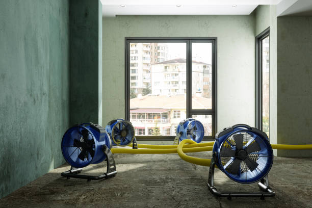 Best Fire Damage Restoration  in West Bay Shore, NY